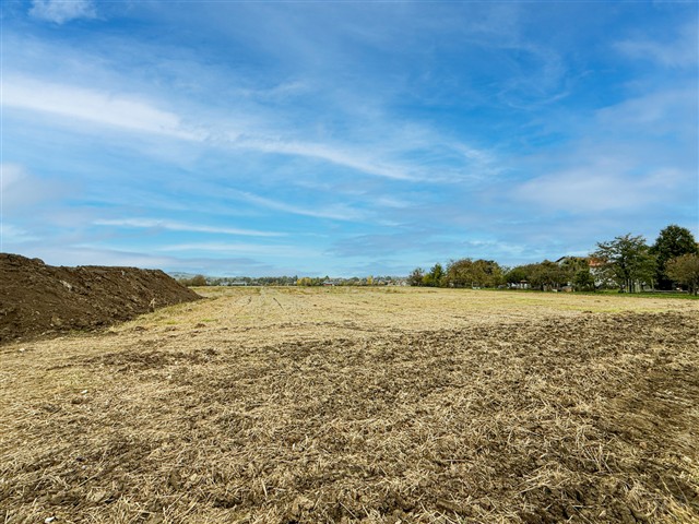 pohled na pozemek [9/13]